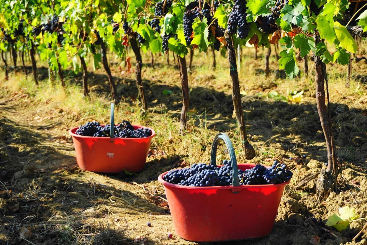 Villa Fattoria Lornano Winery Monteriggioni Esterno foto
